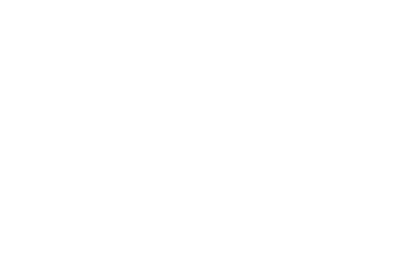  Stemma Fondazione Anthem - AdvaNced Technologies for Human-centrEd Medicine